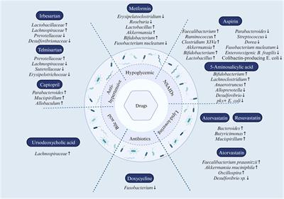 The role of gut microbiota and drug interactions in the development of colorectal cancer